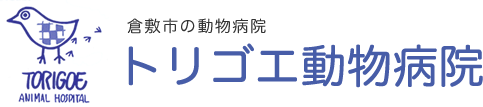 トリゴエ動物病院